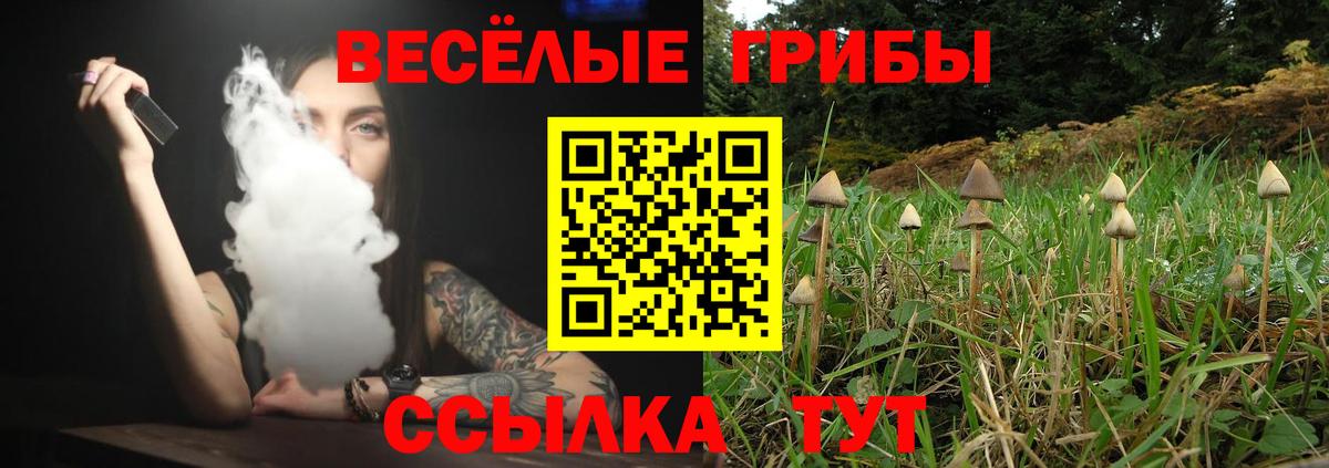 Егорьевск  цены наркотик  Вход с VPN  Псилоцибиновые грибы прущие грибы 